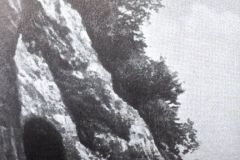 Roovlikoobas