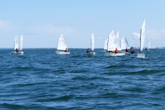 DSCF2770