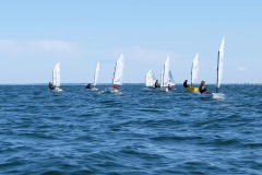 DSCF2772
