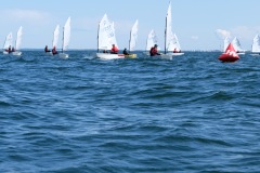 DSCF2775
